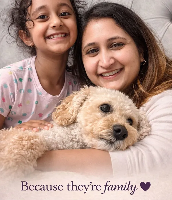 Caring for pets at Pawlington