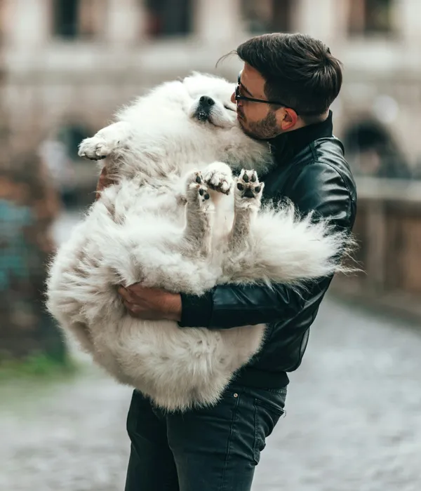 Caring for pets at Pawlington