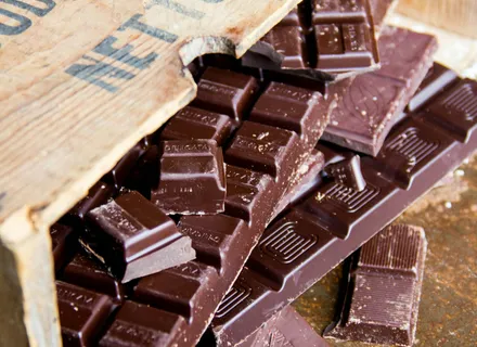 My Dog Ate Chocolate: What to Do Right Now (Burlington Vet Guide)