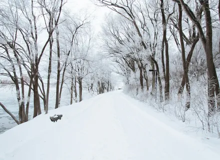 Winter Pet Care in Halton: What Burlington Dog Owners Actually Need to Know
