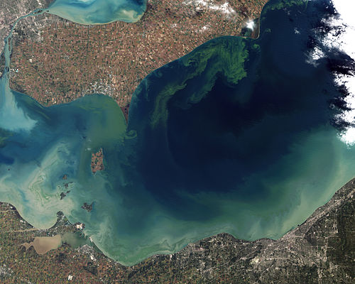 Blue-green algae bloom on Lake Erie, green-painted appearance